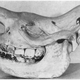 Image for article titled The Western Black Rhino is extinct (again), and it's okay to be angry